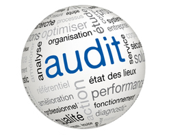Audits QSE